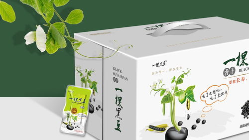 即食豆干包裝設計 廣州專業(yè)公司的創(chuàng)新與實踐